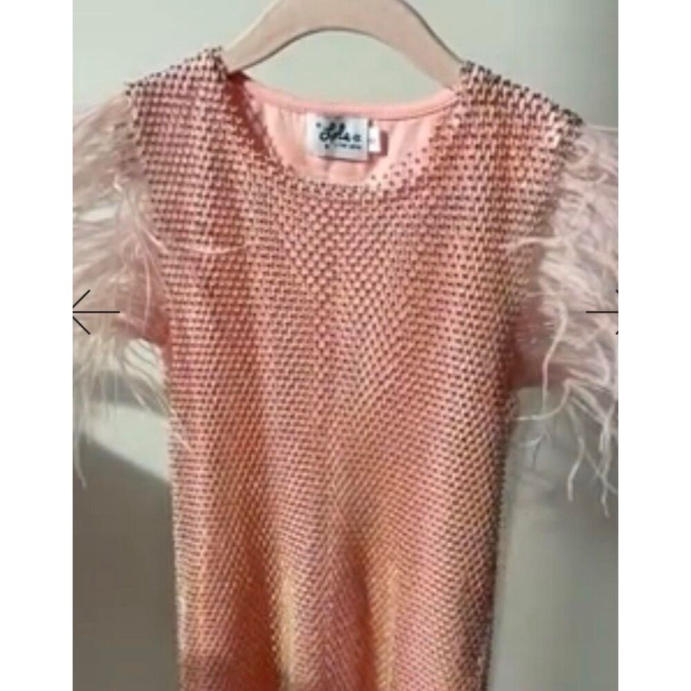 Lola and the Boys pink mesh dress with crystal embellishments and feather trim
